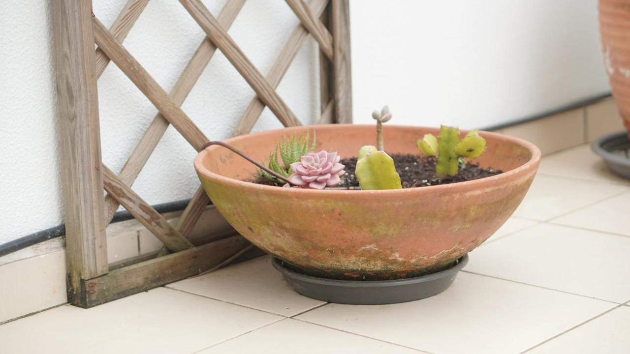 ナザレTerraco Dos Rabujasアパートメント エクステリア 写真